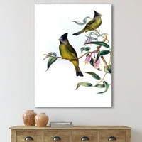 Designart 'Vintage Kırsal Kuşlar Şube II' Çiftlik Evi Tuval Duvar sanat Baskı