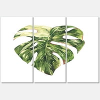 Tropikal Yeşil Yapraklar Beyaz Yaz Aylarında III Boyama Tuval Sanat Baskı