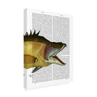 Fab Funky tarafından Marka Güzel Sanatlar 'Büyük Domuz Balığı' Tuval Sanatı