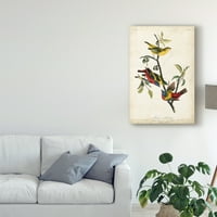 Marka Güzel Sanatlar 'Boyalı Kiraz Kuşu Kırmızısı' Tuval Sanatı John James Audubon
