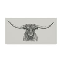Marka Güzel Sanatlar 'Longhorn Bull' Tuval Sanatı Ethan Harper